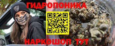 дмт Аргун