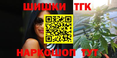 дмт Аргун