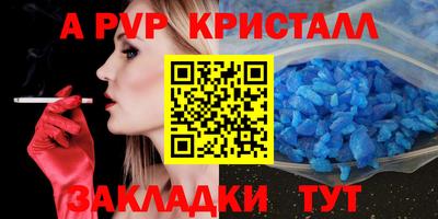дмт Аргун